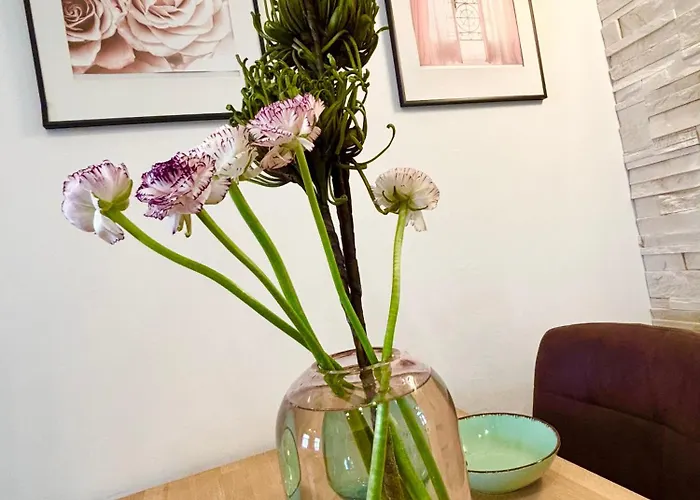 Zum Wohlfuehlen 公寓 *